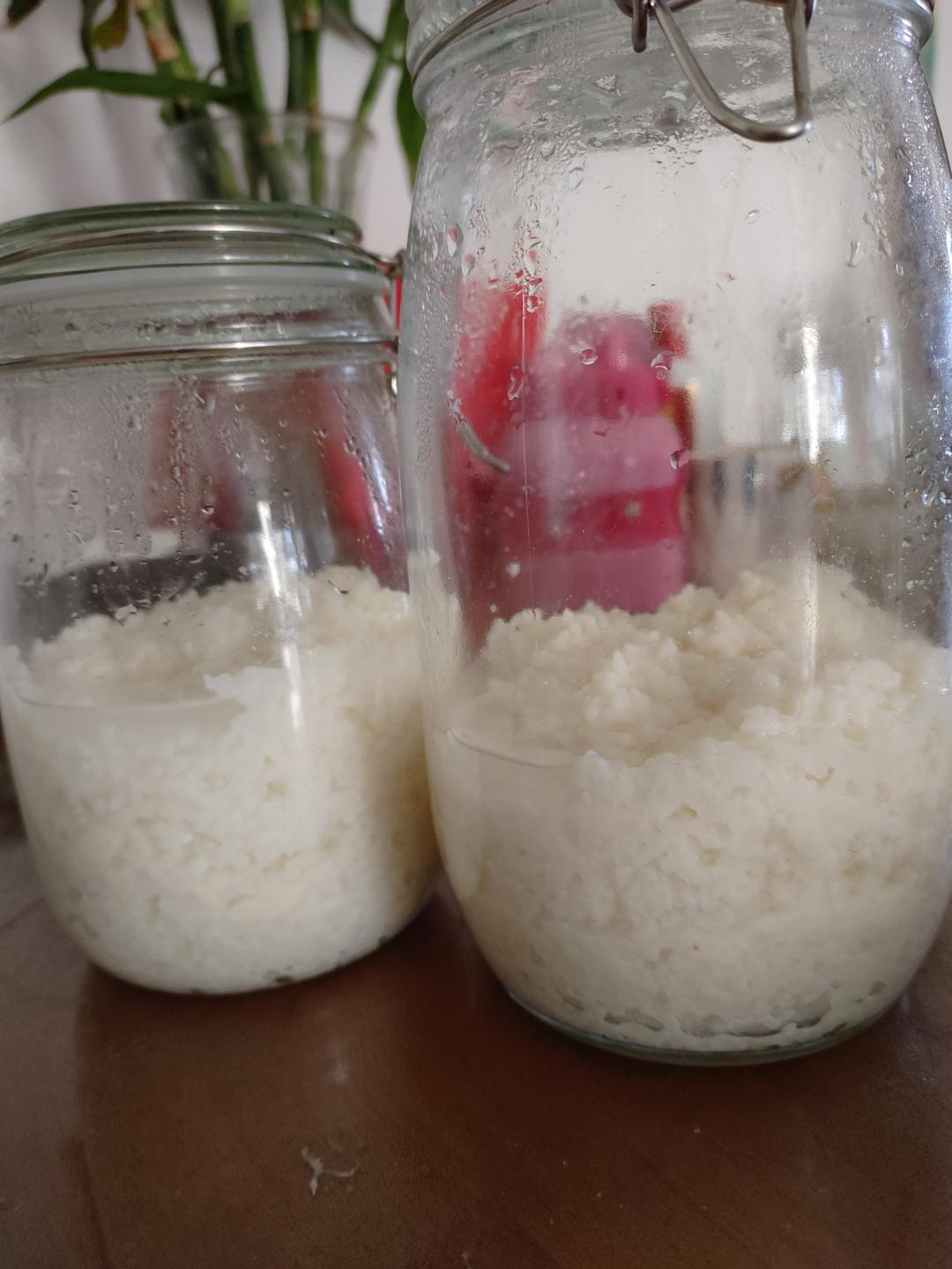 6分钟自制米酒【省事米酒最简易的打开方式】ヽ(•̀ω•́ )ゝ自制酒糟.醪糟.酒酿