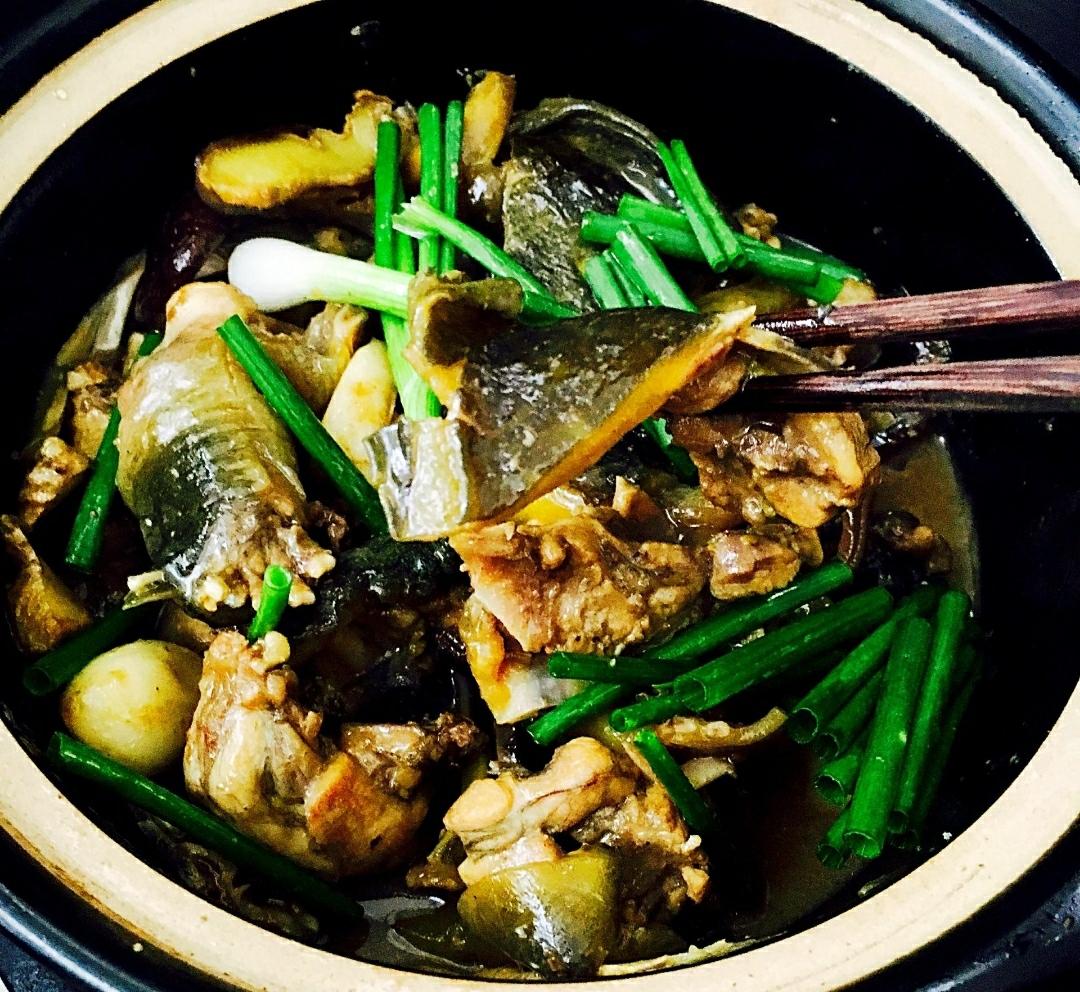 红烧甲鱼炖香菇小美的做法