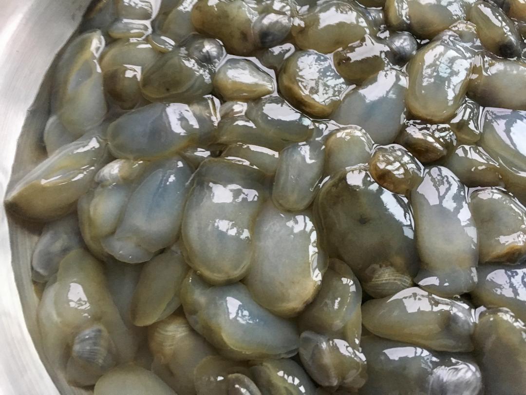 葱爆鲜泥螺的做法