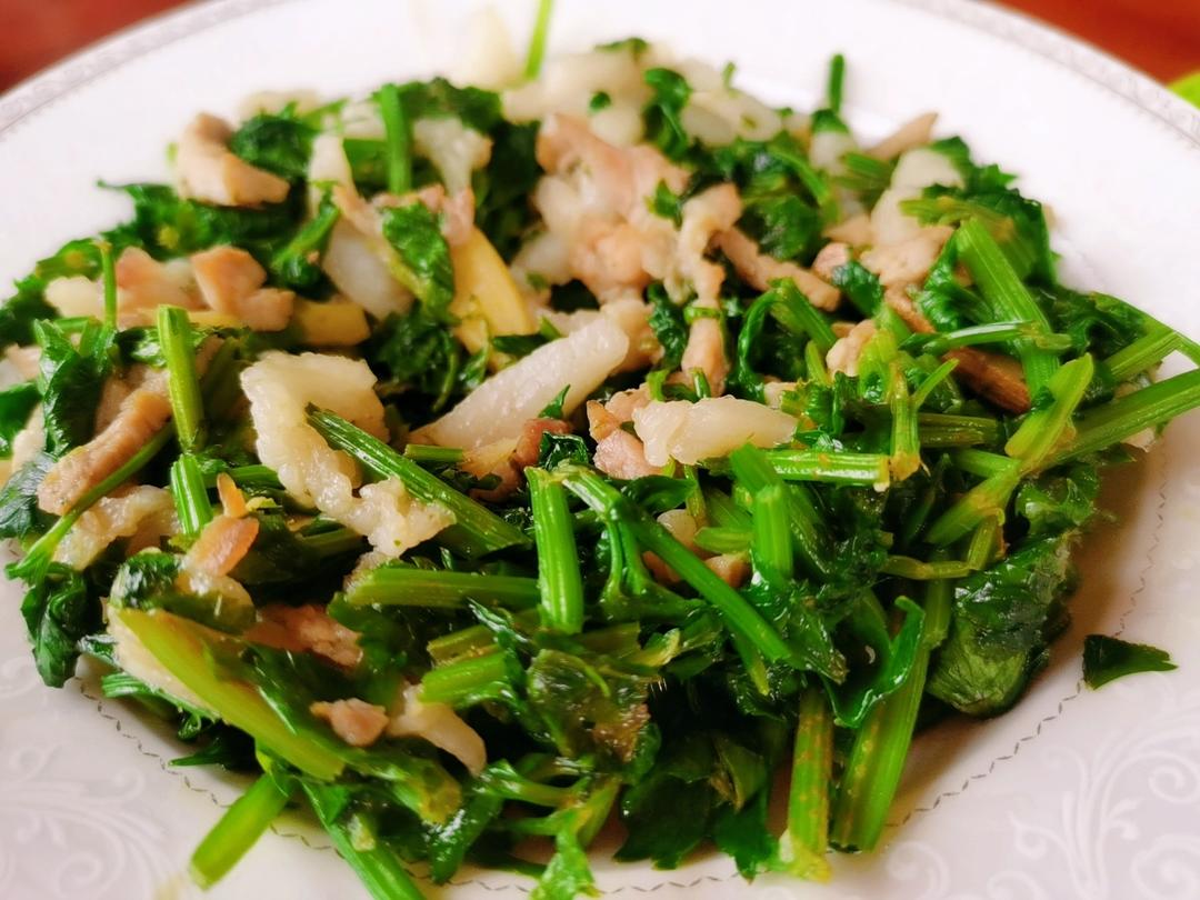 芹菜木耳炒肉丝