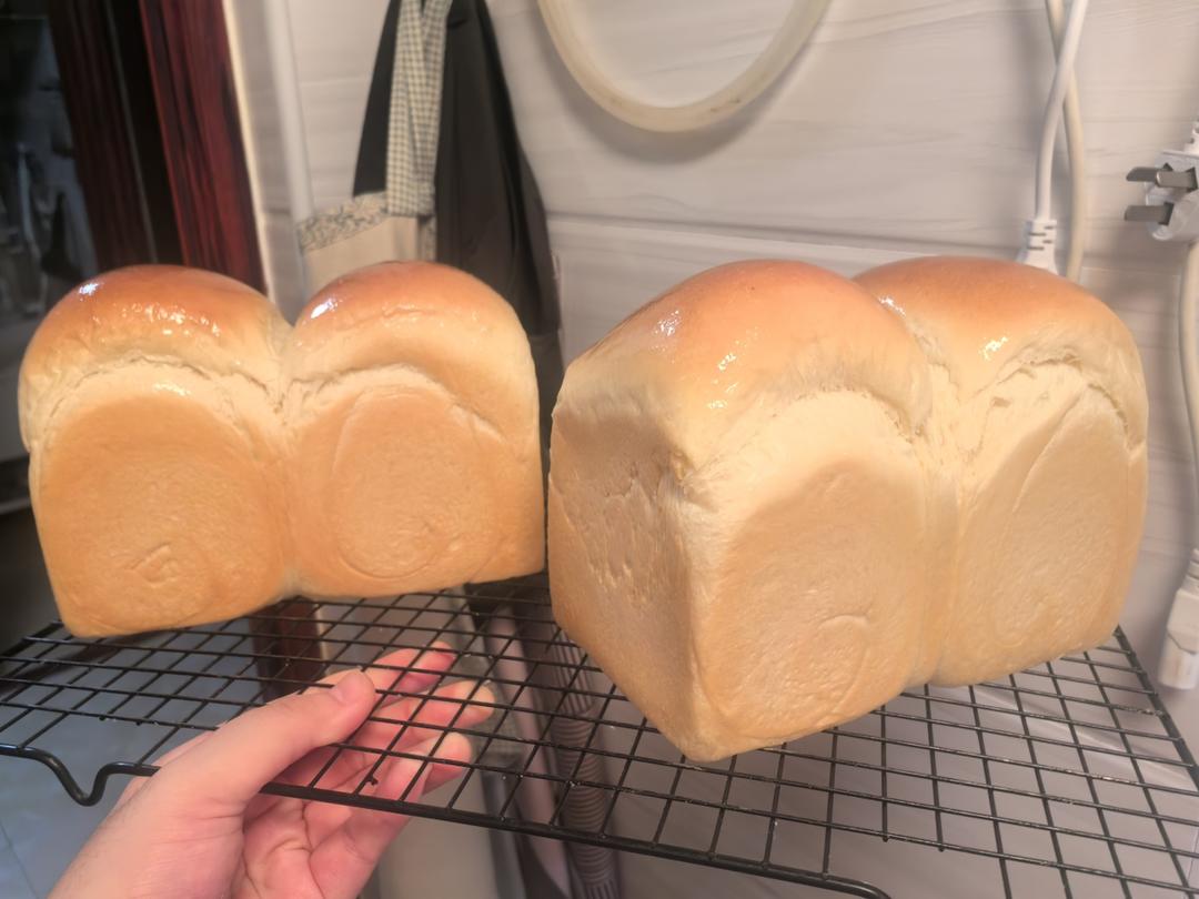 波兰种奶油吐司