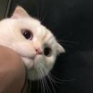 -爱做饭的厨房小白