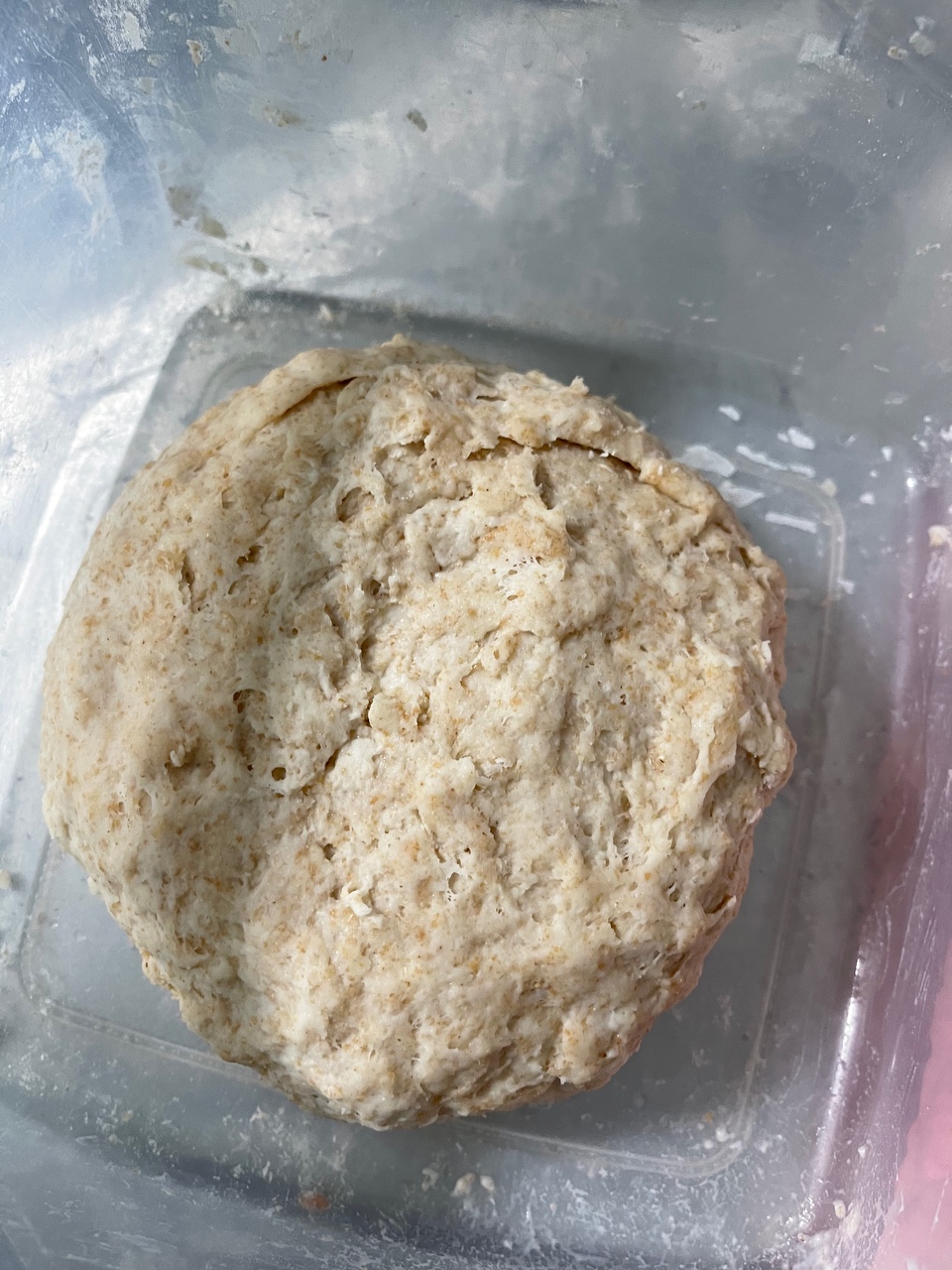 黑麦皮塔饼（Pita bread）
【风炉版｜独家｜保姆级】的做法 步骤1