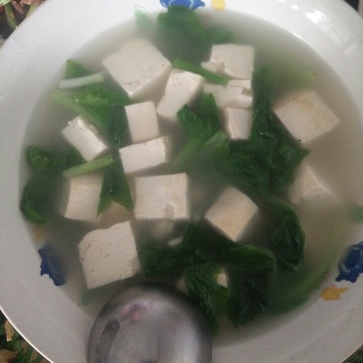 青菜豆腐汤