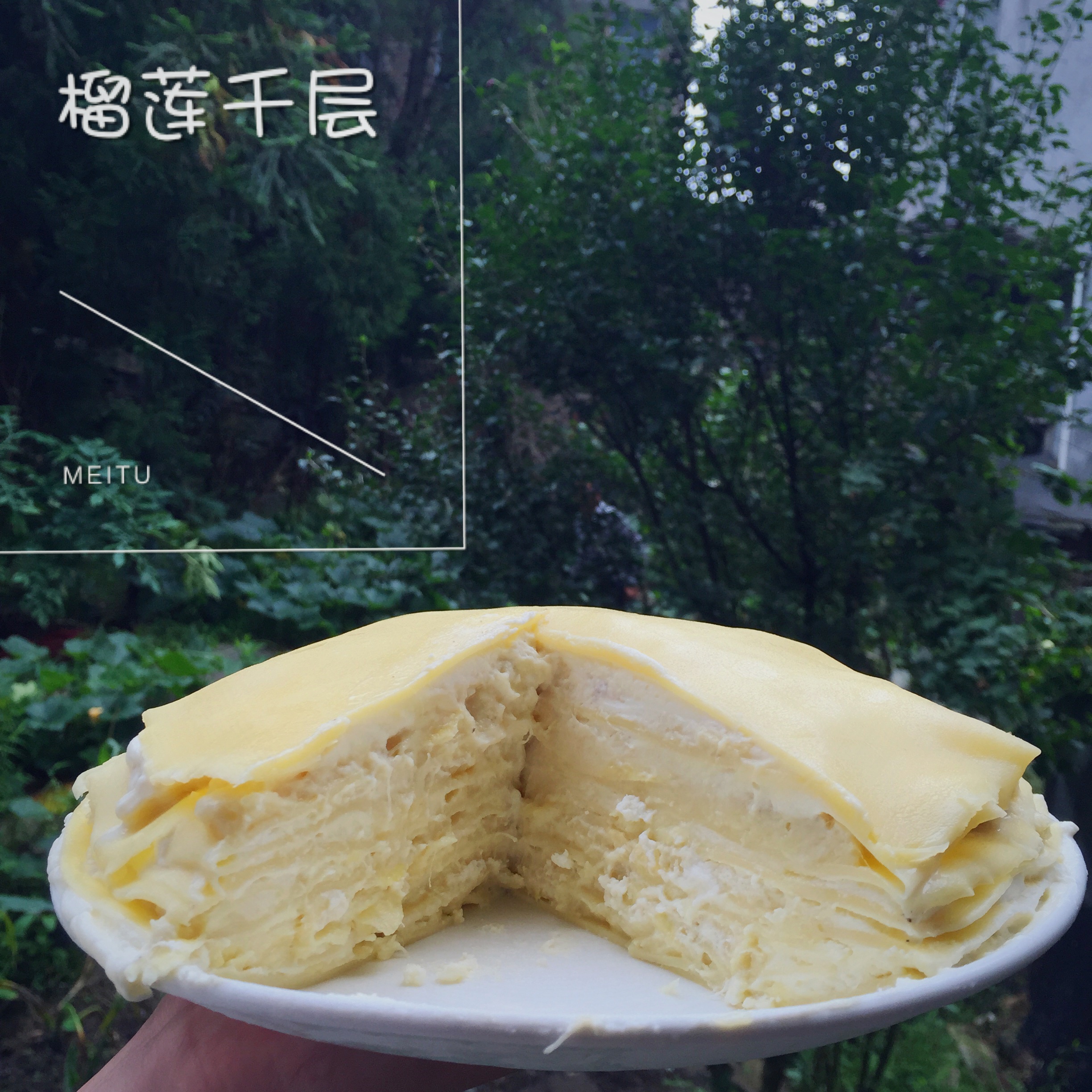 榴莲千层蛋糕（stratiform cake）