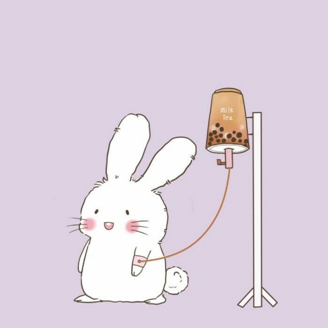 阳光开朗小兔兔