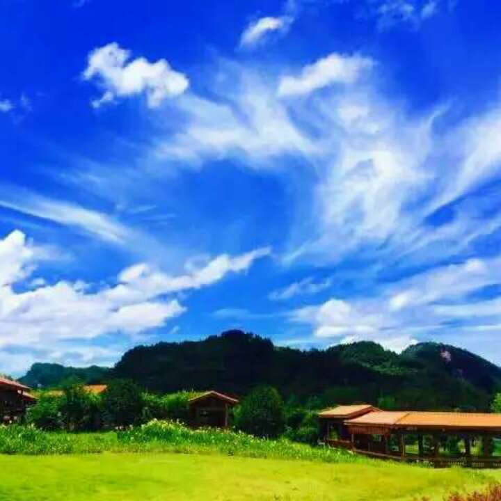 手机用户1995_bk1q