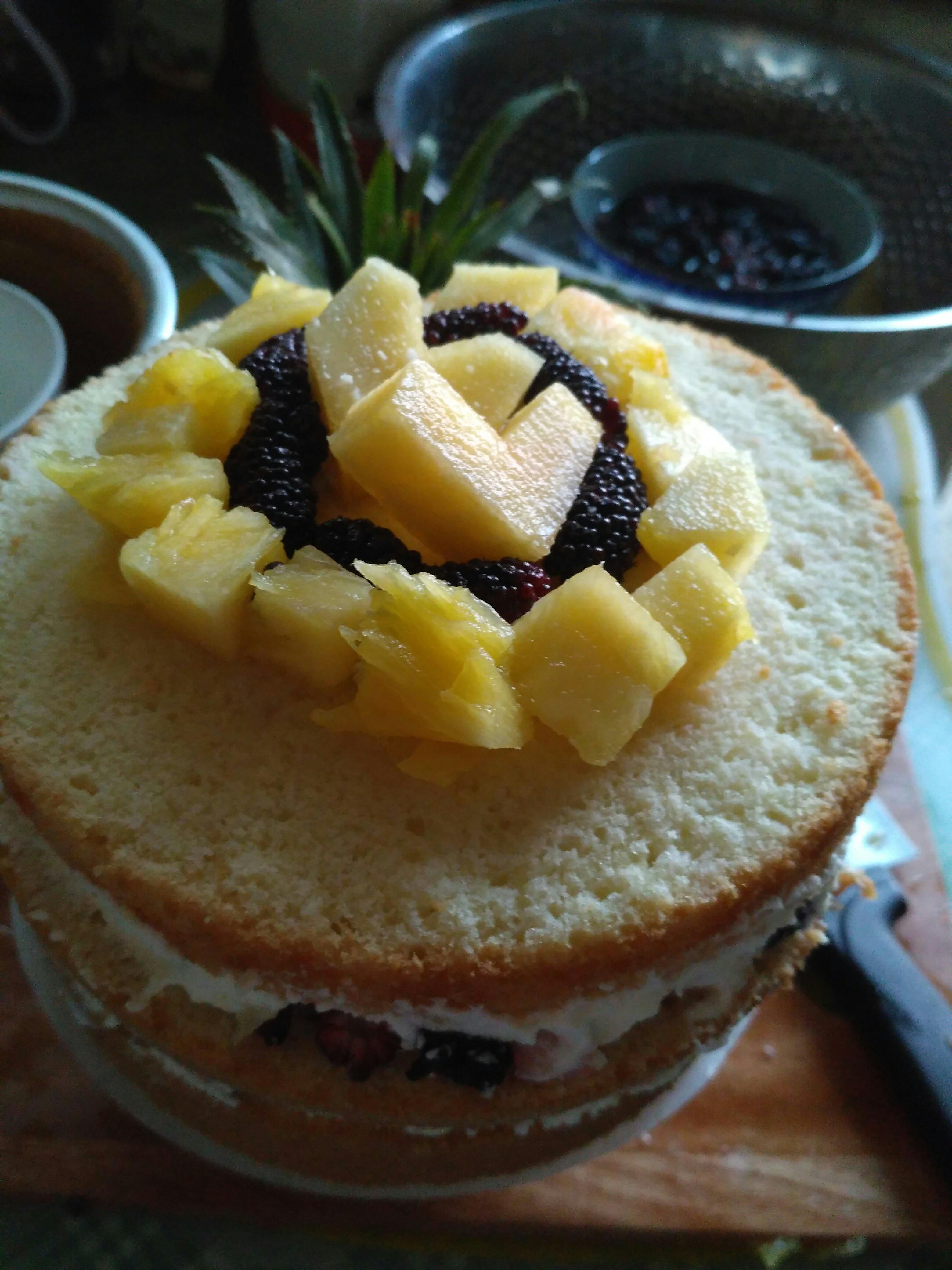 自制创意桑葚菠萝水果蛋糕的做法 步骤3