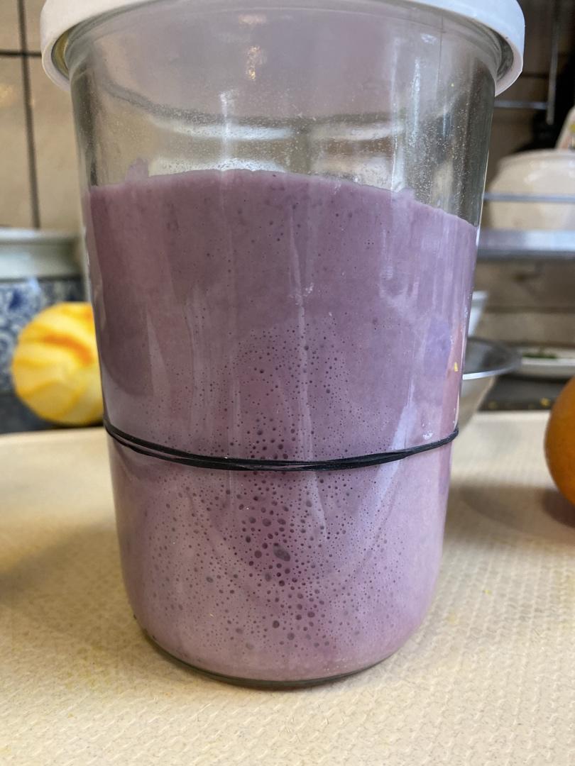 天然酵母宝宝养成记