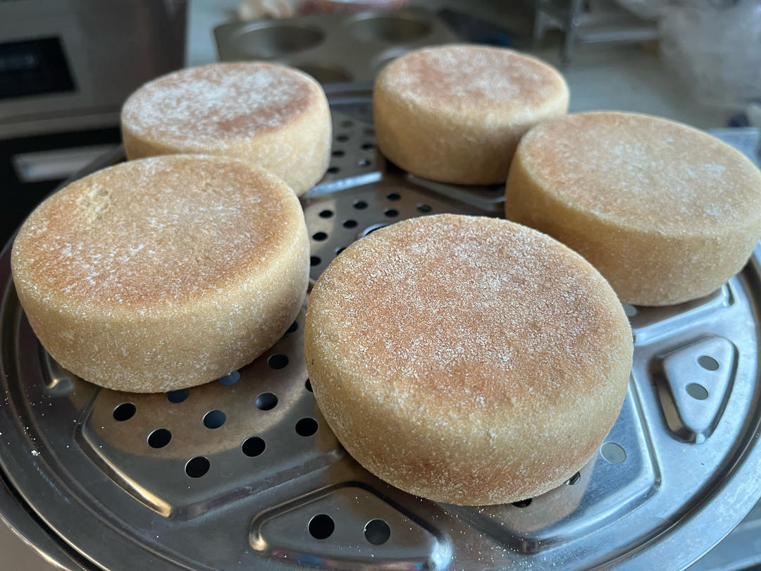 全麦麦满分饼胚  100%全麦