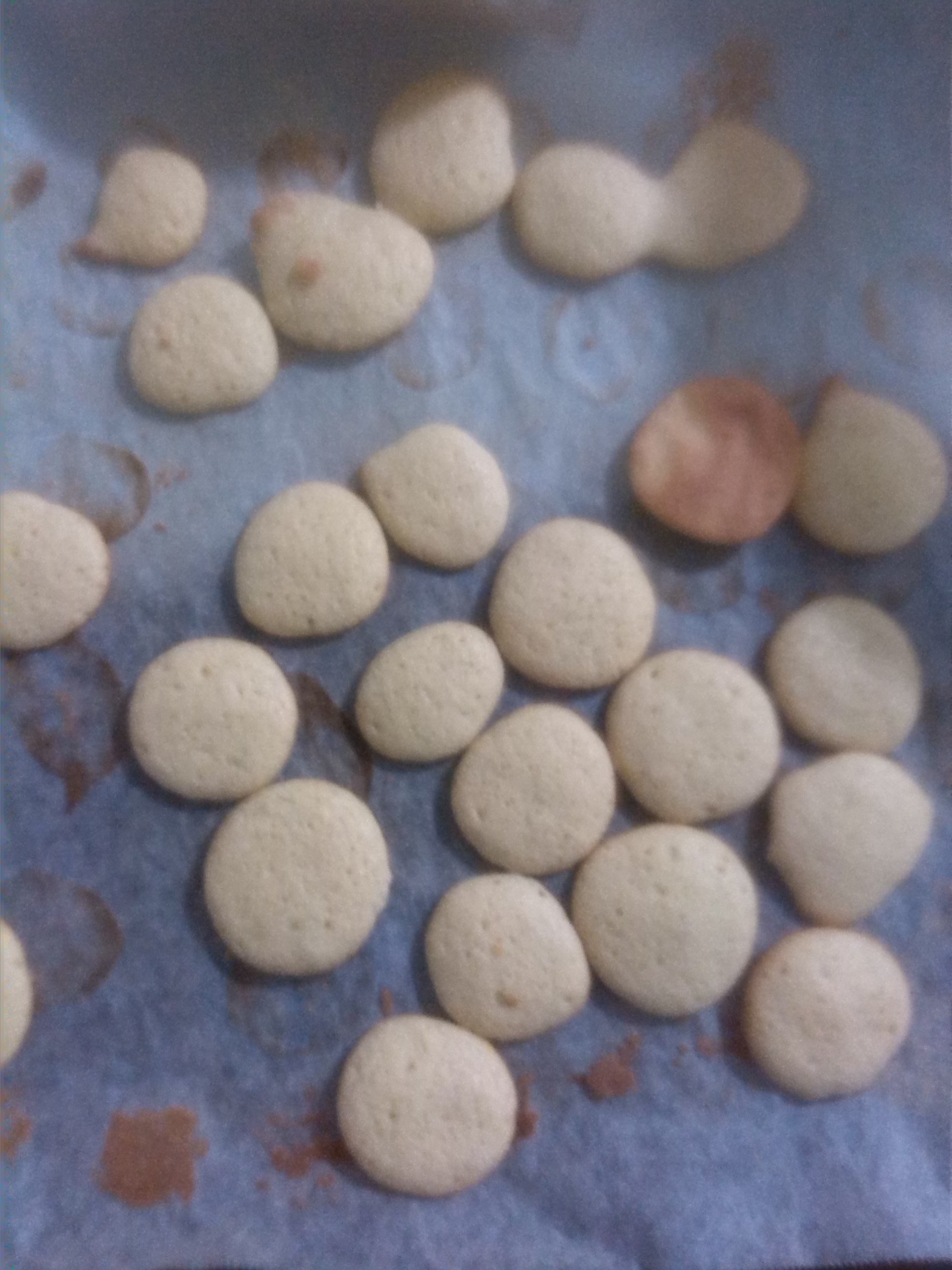 酥脆蛋香小饼干