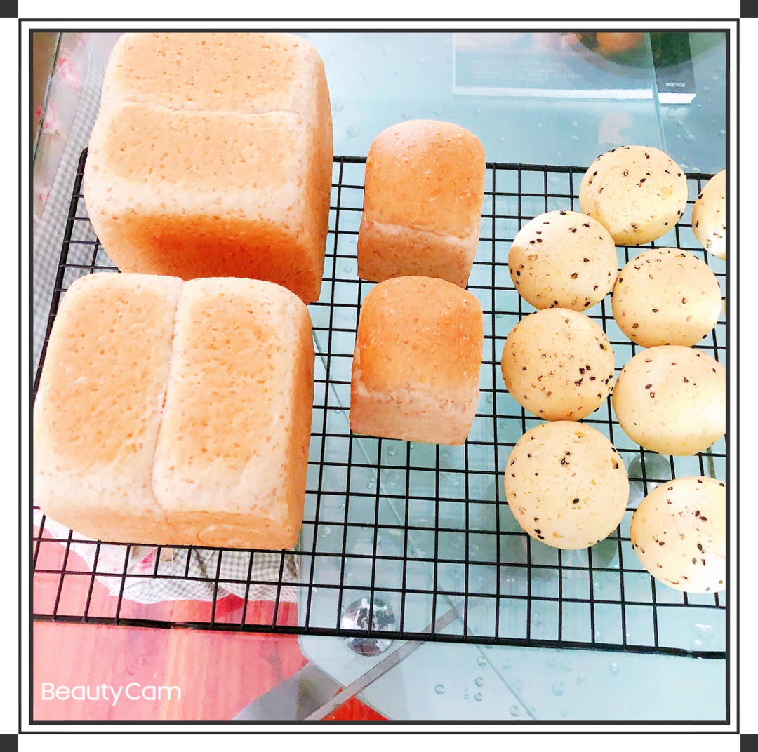 全麦吐司（50%全麦含量）低卡，低热量