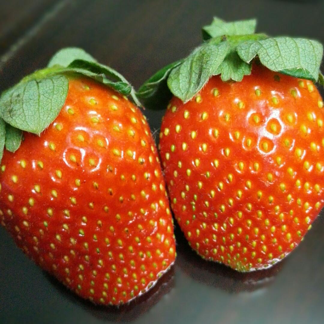 Rainbow_S