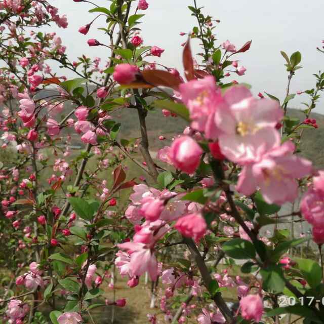 手机用户2853_w5xr