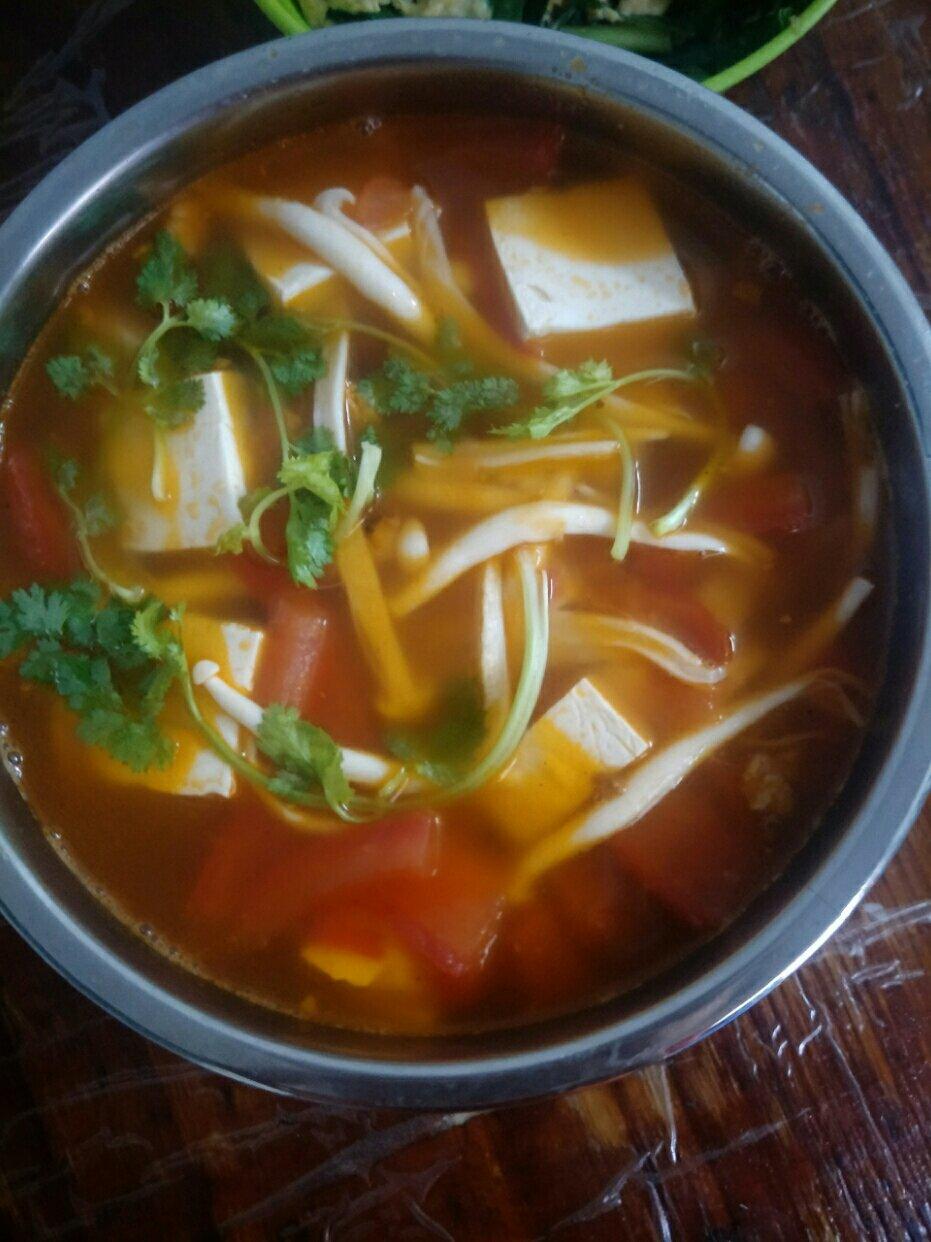 西红柿菌菇豆腐汤
