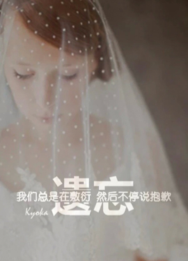 萤火之森_chl2的厨房