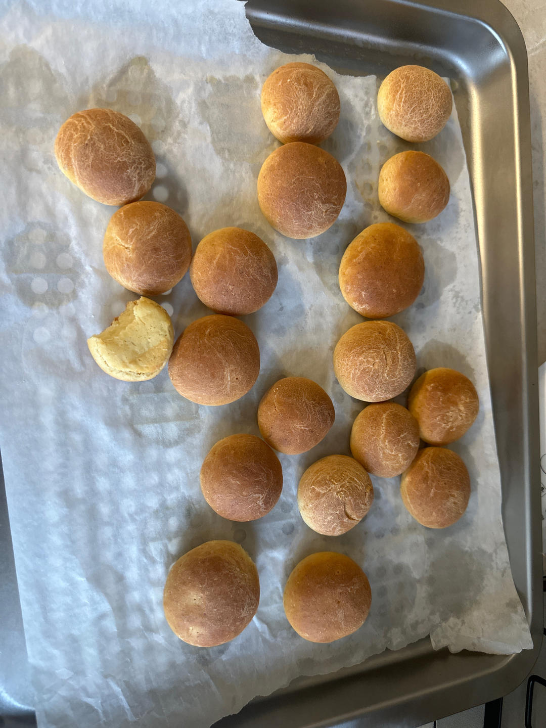 宝宝辅食:蓝莓山药饼