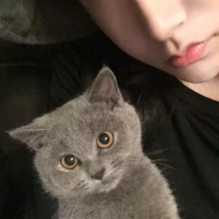 s_空城只有旧梦在