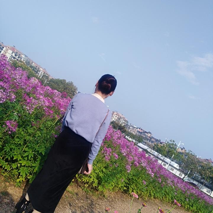 手机用户8256_gmvr