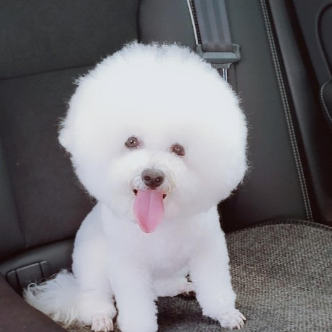 熊婆吧