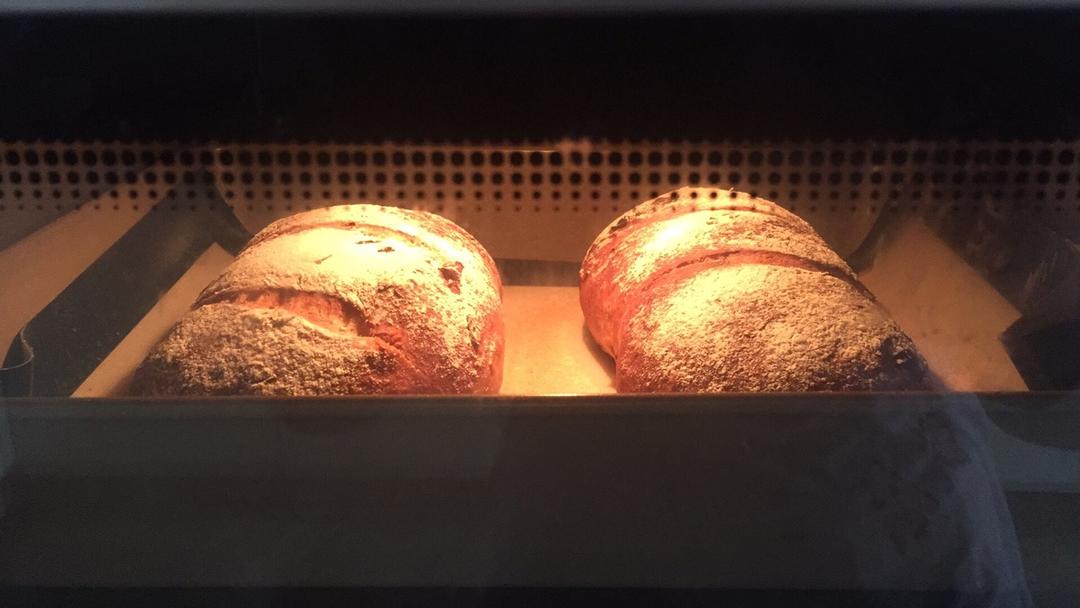 全麦核桃包～软欧包