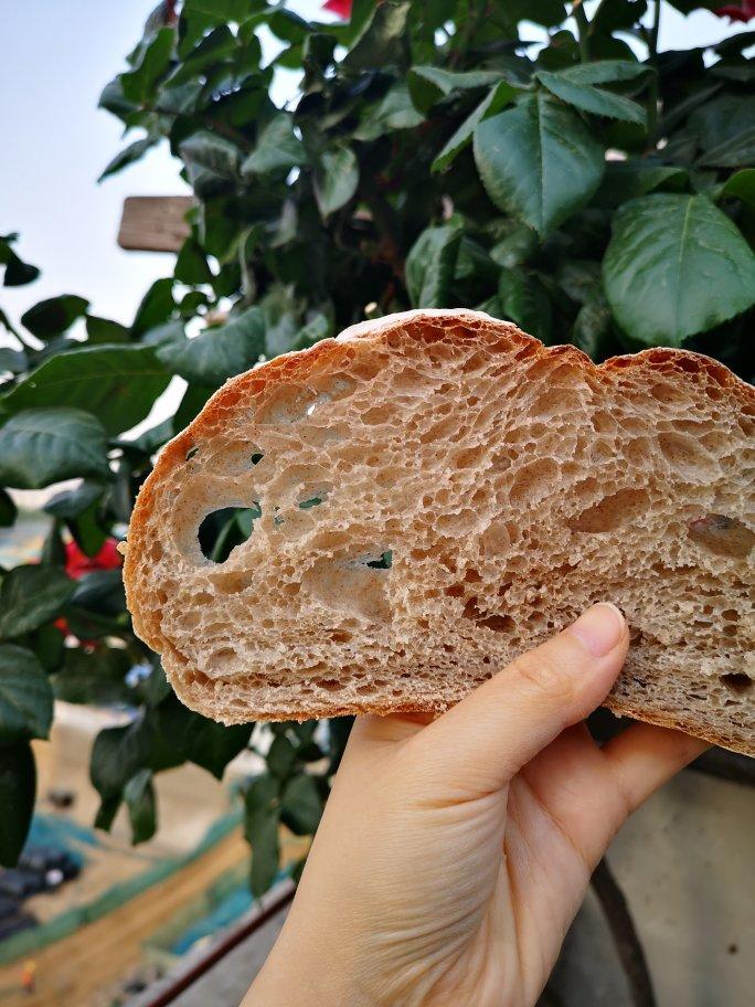 不可能减肥的欧包🥖（超简单！免揉！无油无糖）