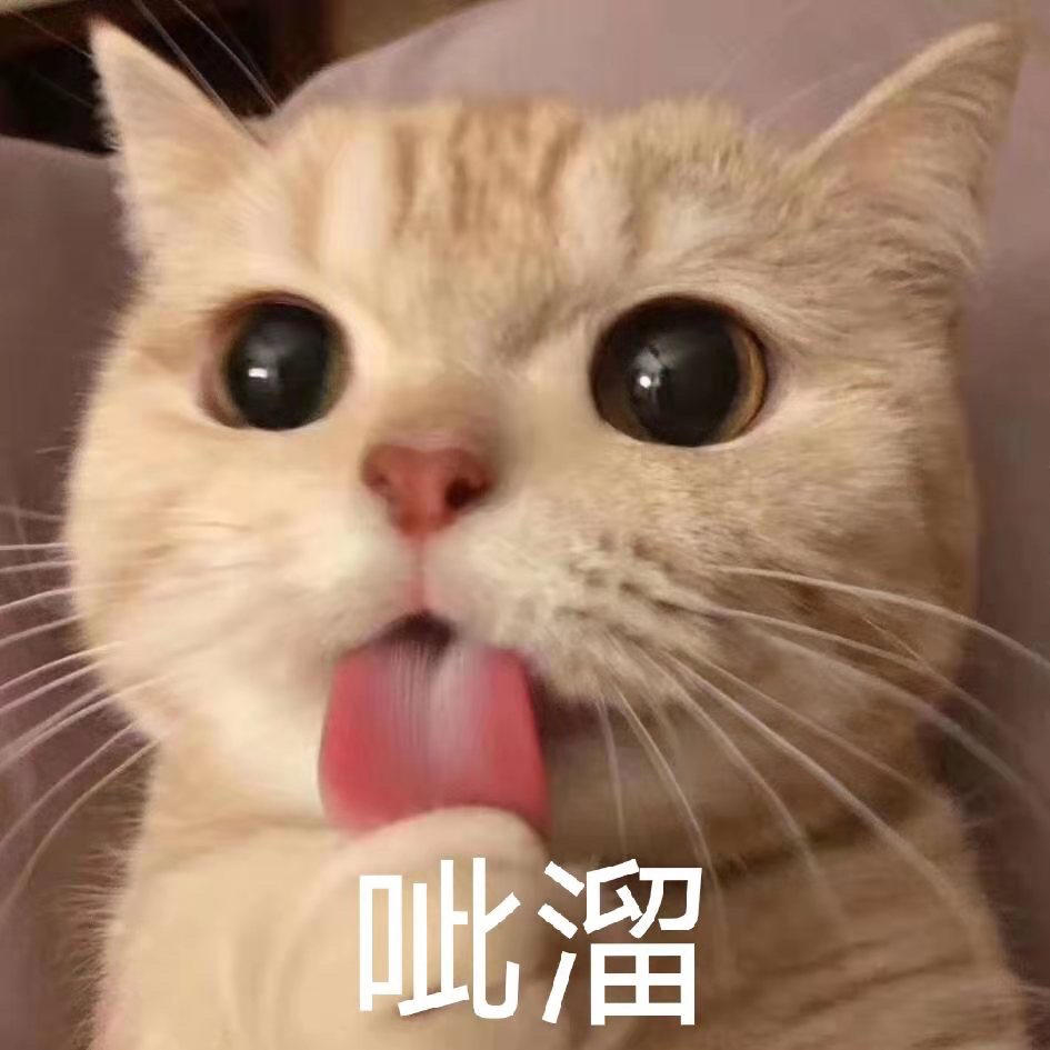 自律的小懒猪的厨房