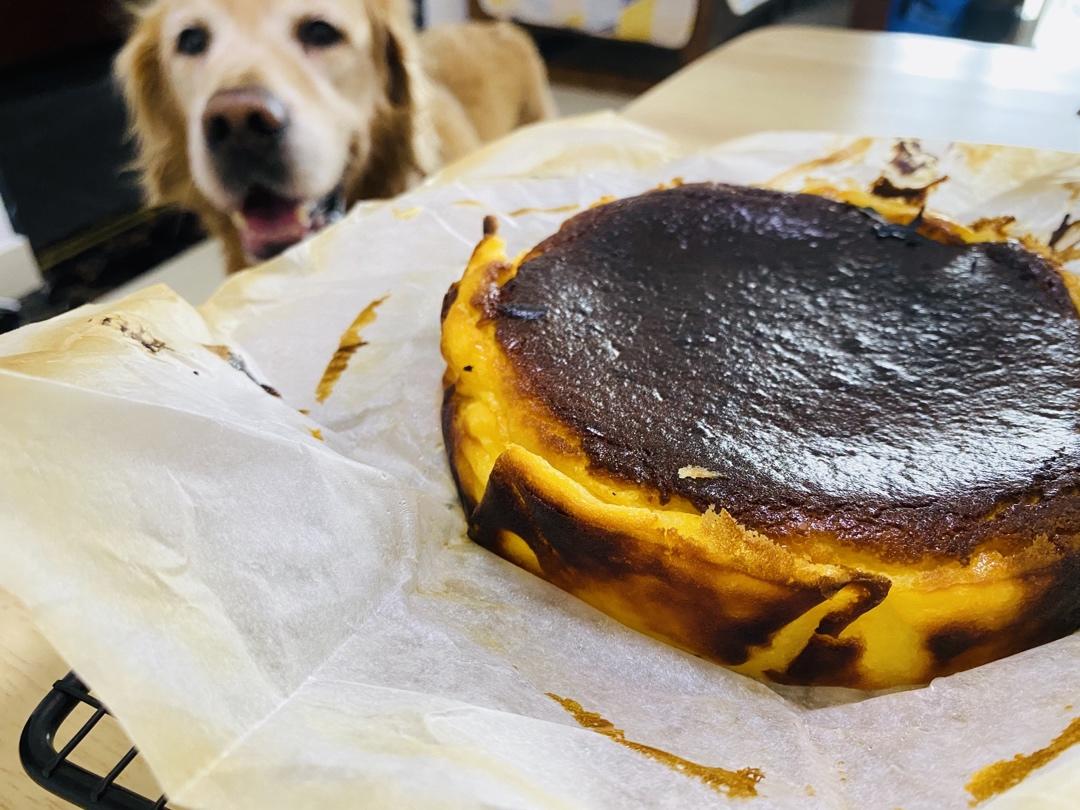 巴斯克芝士蛋糕『最简单的蛋糕』零失败🔥芝士控