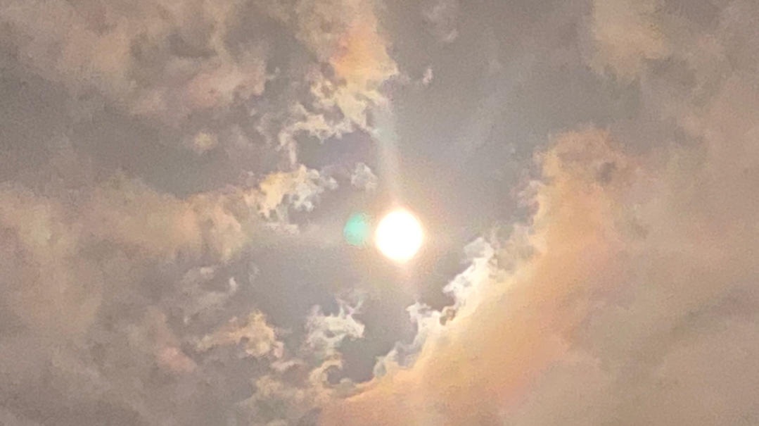 爱煲汤的小女子