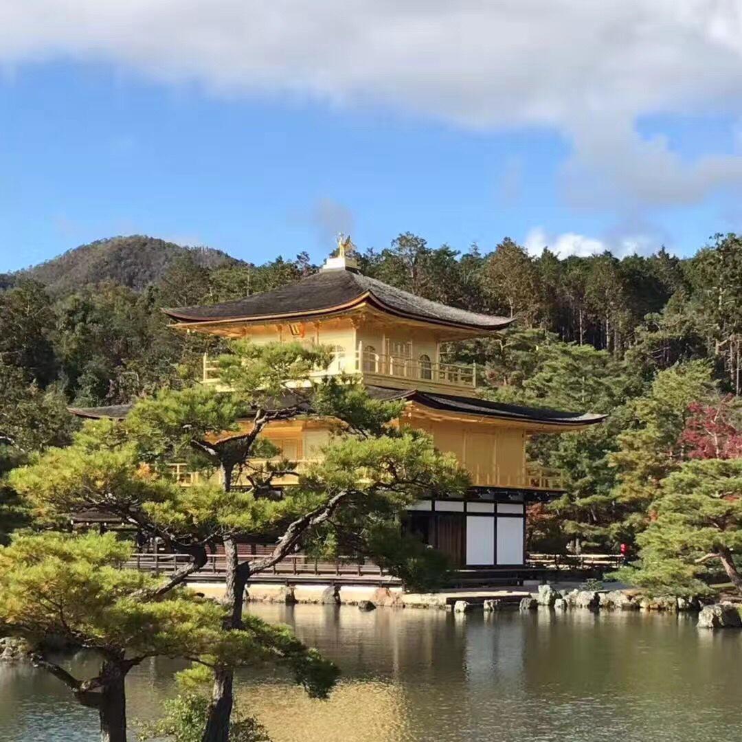 普通厨师张同学