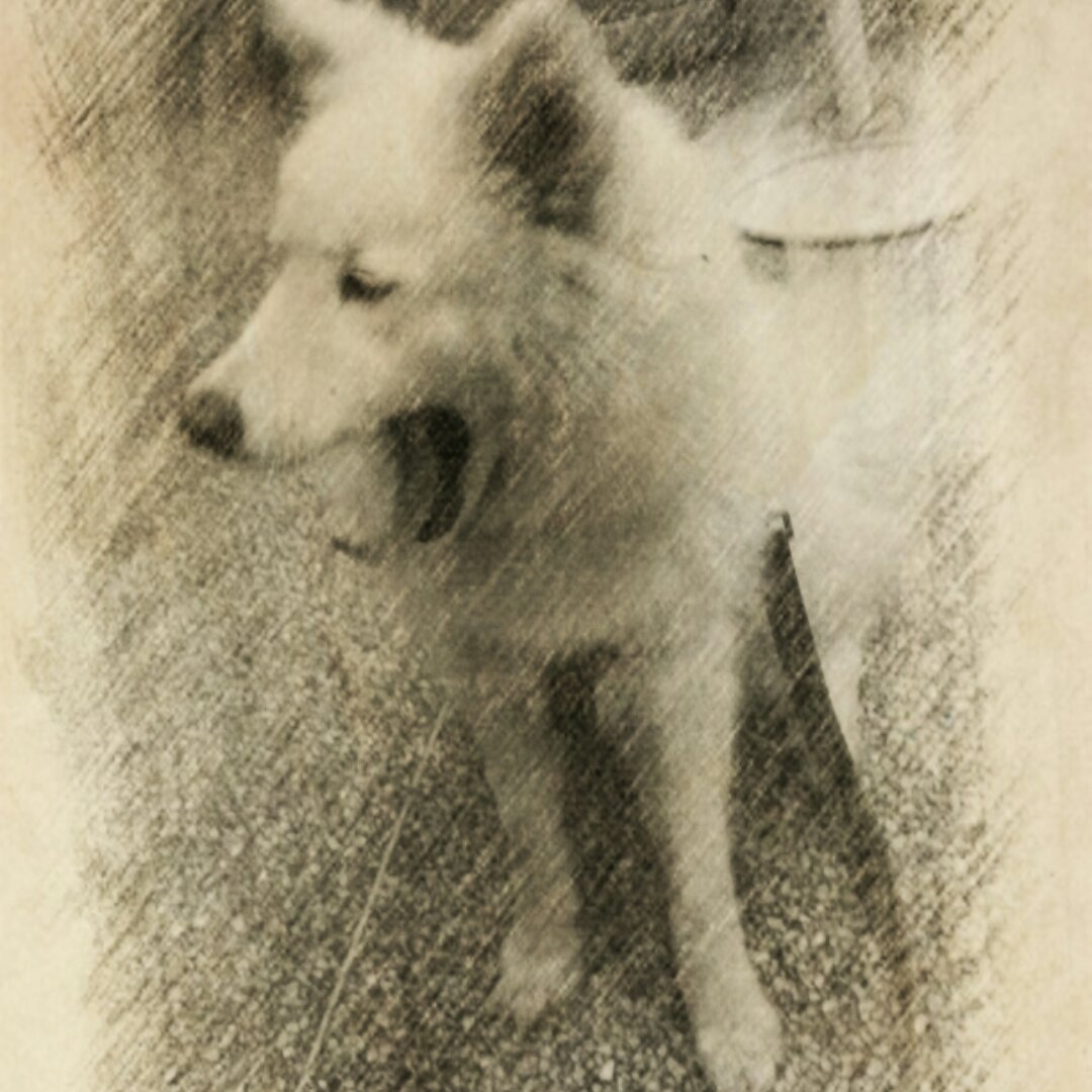 宁兰悦荥