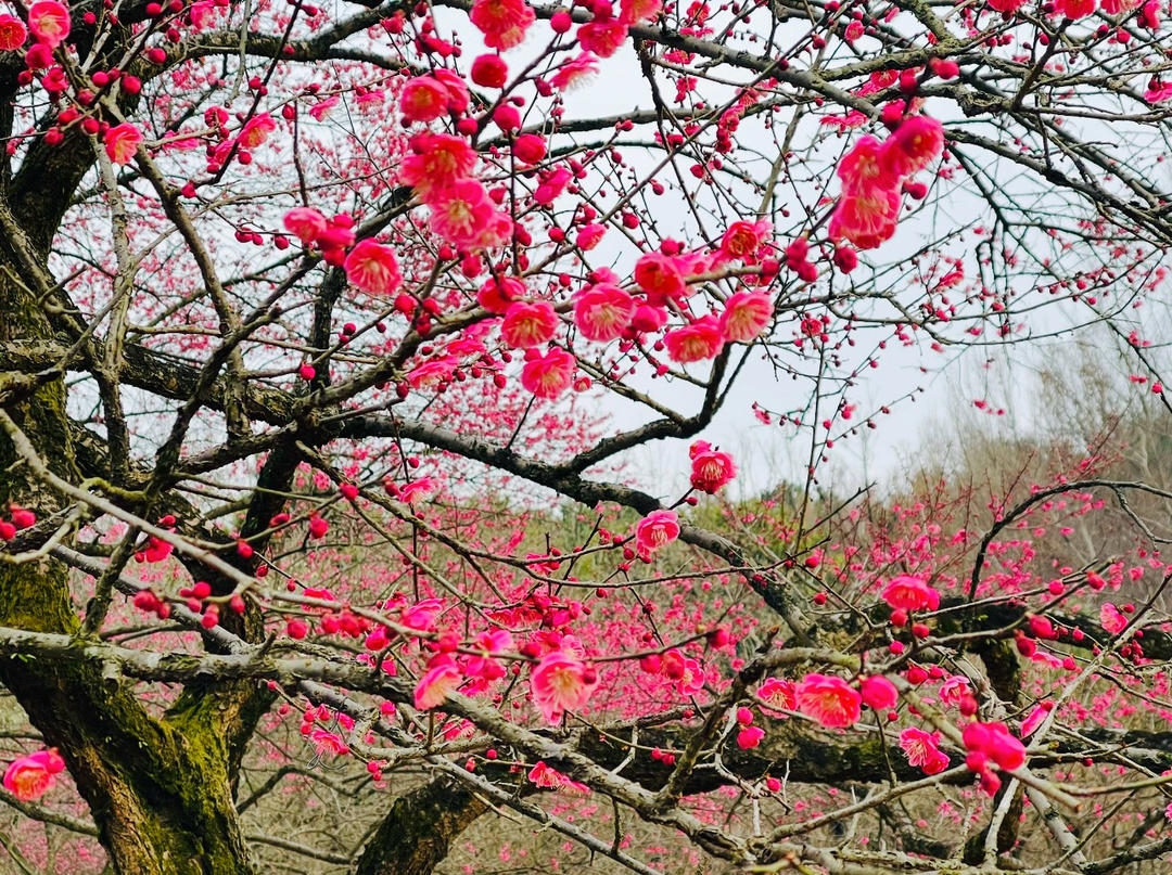 我的花花世界………