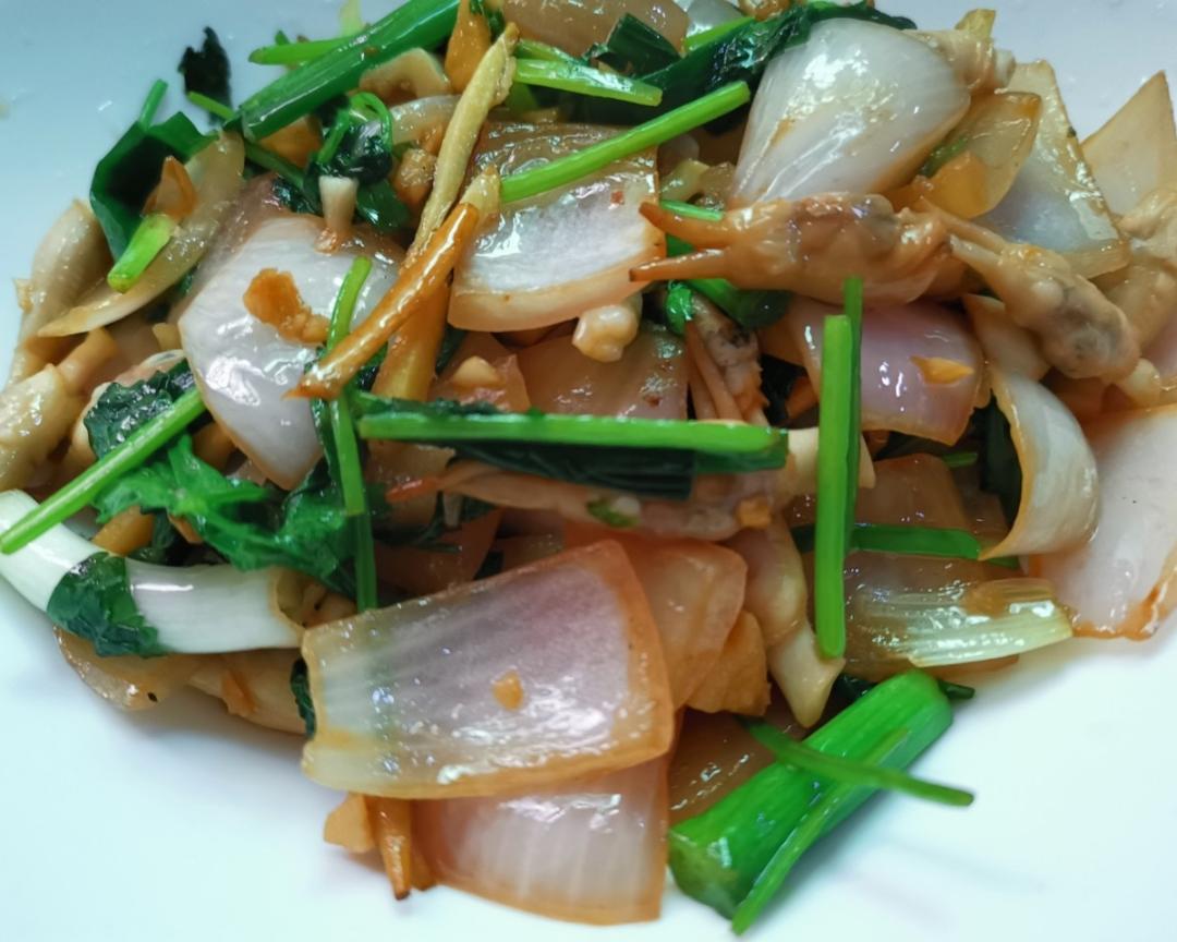 没有灵魂的蛏子