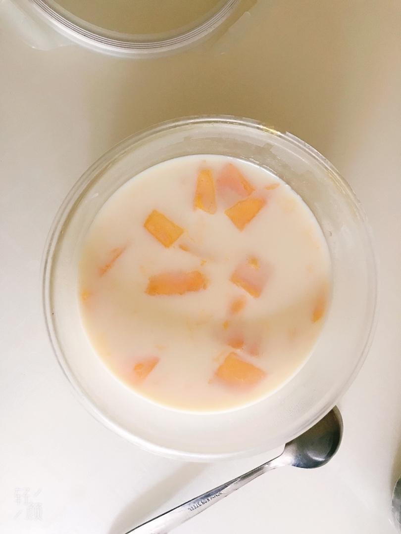 芒果牛奶布丁