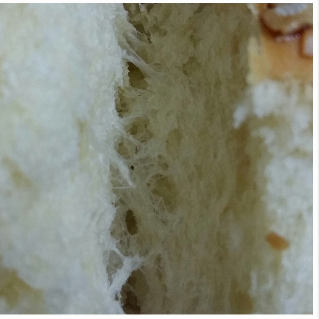 豆沙面包卷