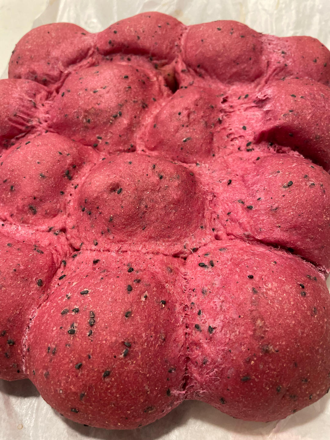 波兰种全麦面包🍞