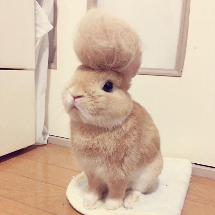 Catie天然