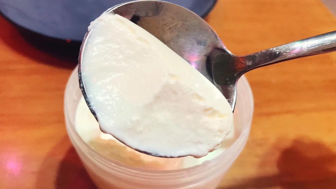 自制无添加酸奶