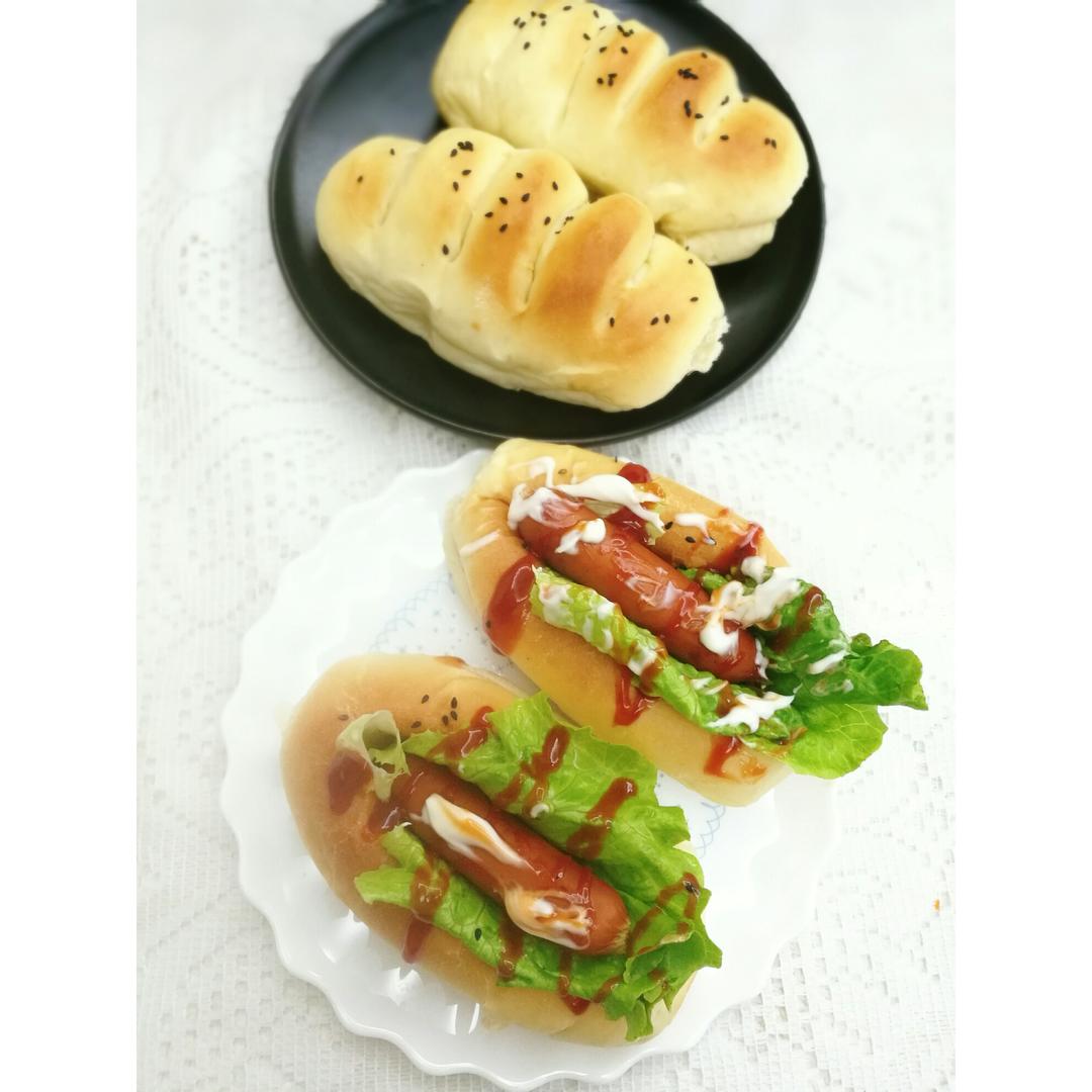 汉堡胚 poolish（波兰种）