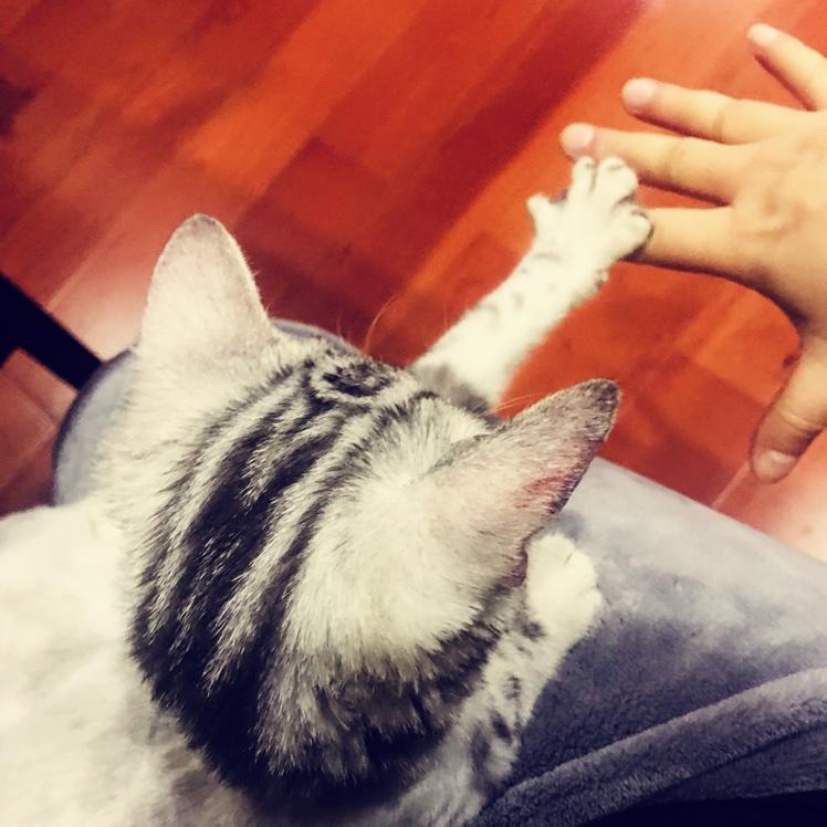 唐小笛