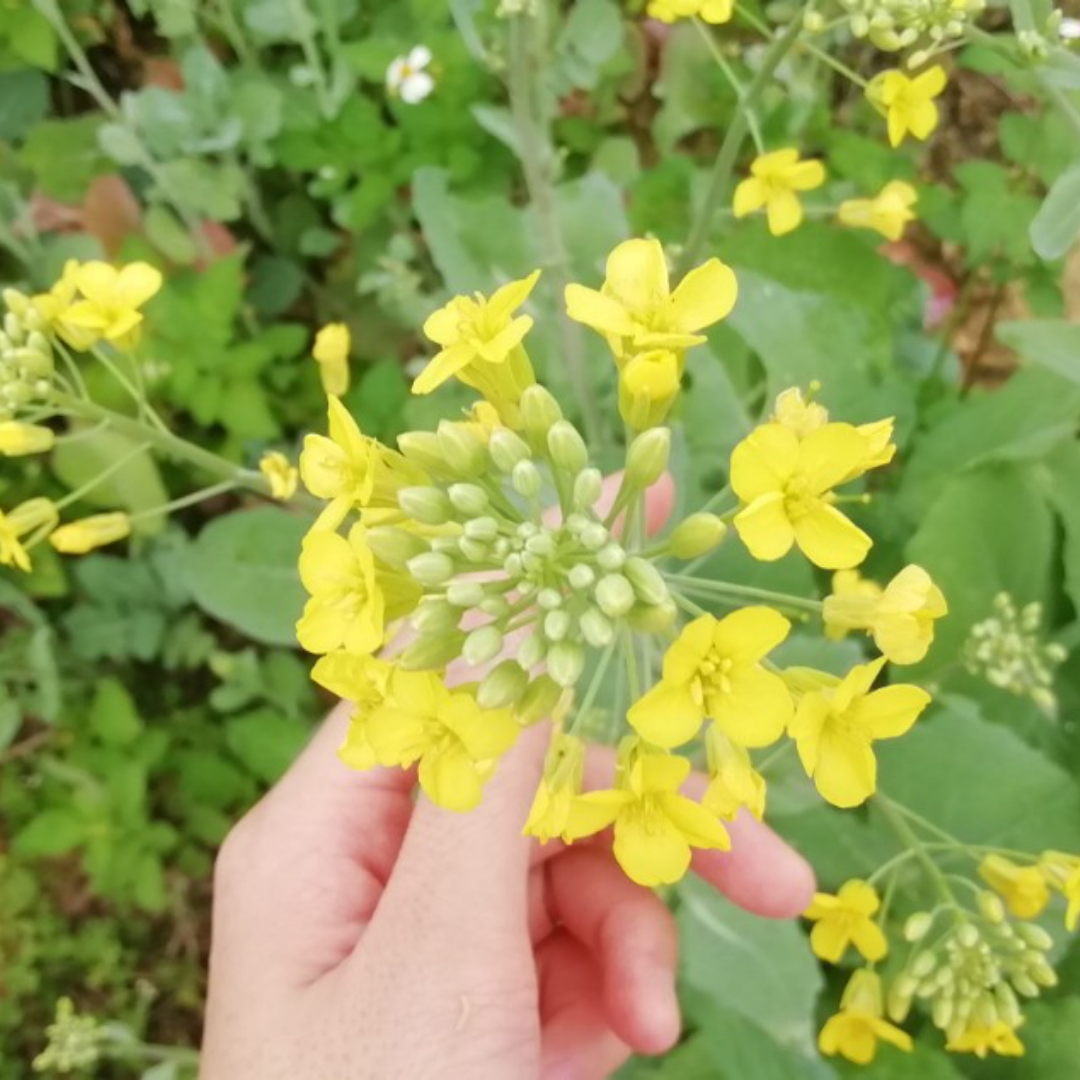 爱吃榴莲的小妞的厨房