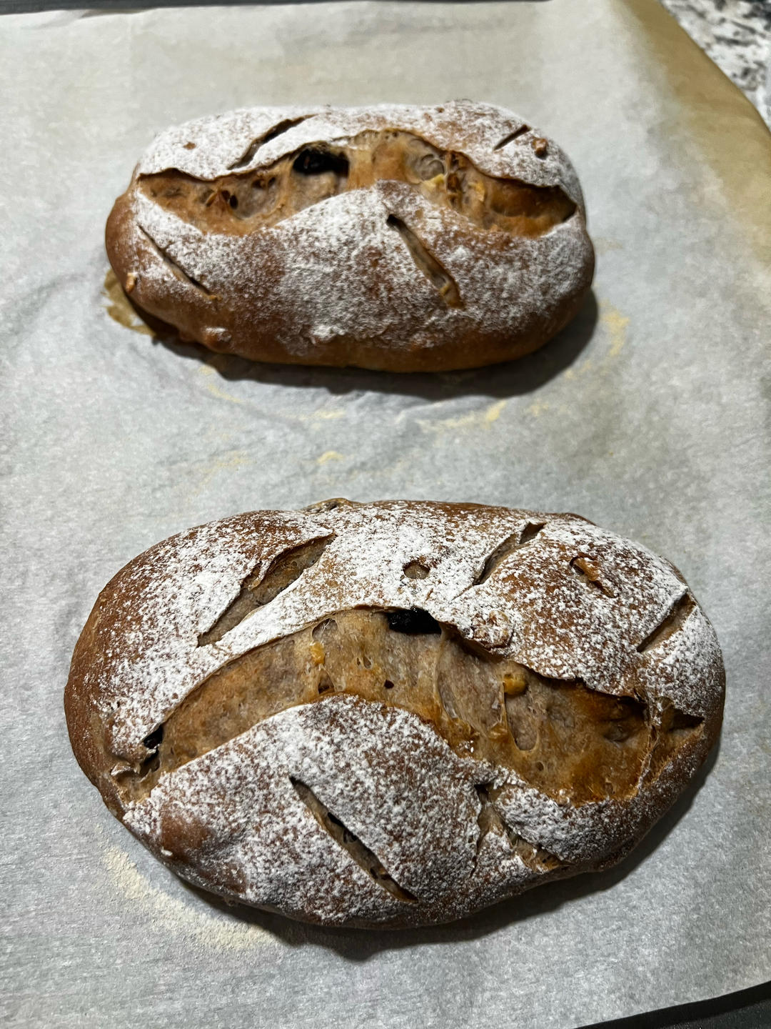 全麦蔓越莓核桃软欧包