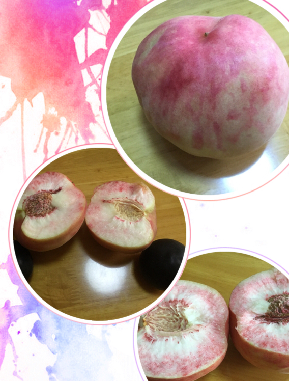 纠结君的健康之路