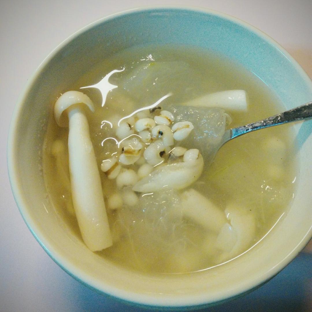 海鲜菇冬瓜薏米汤
