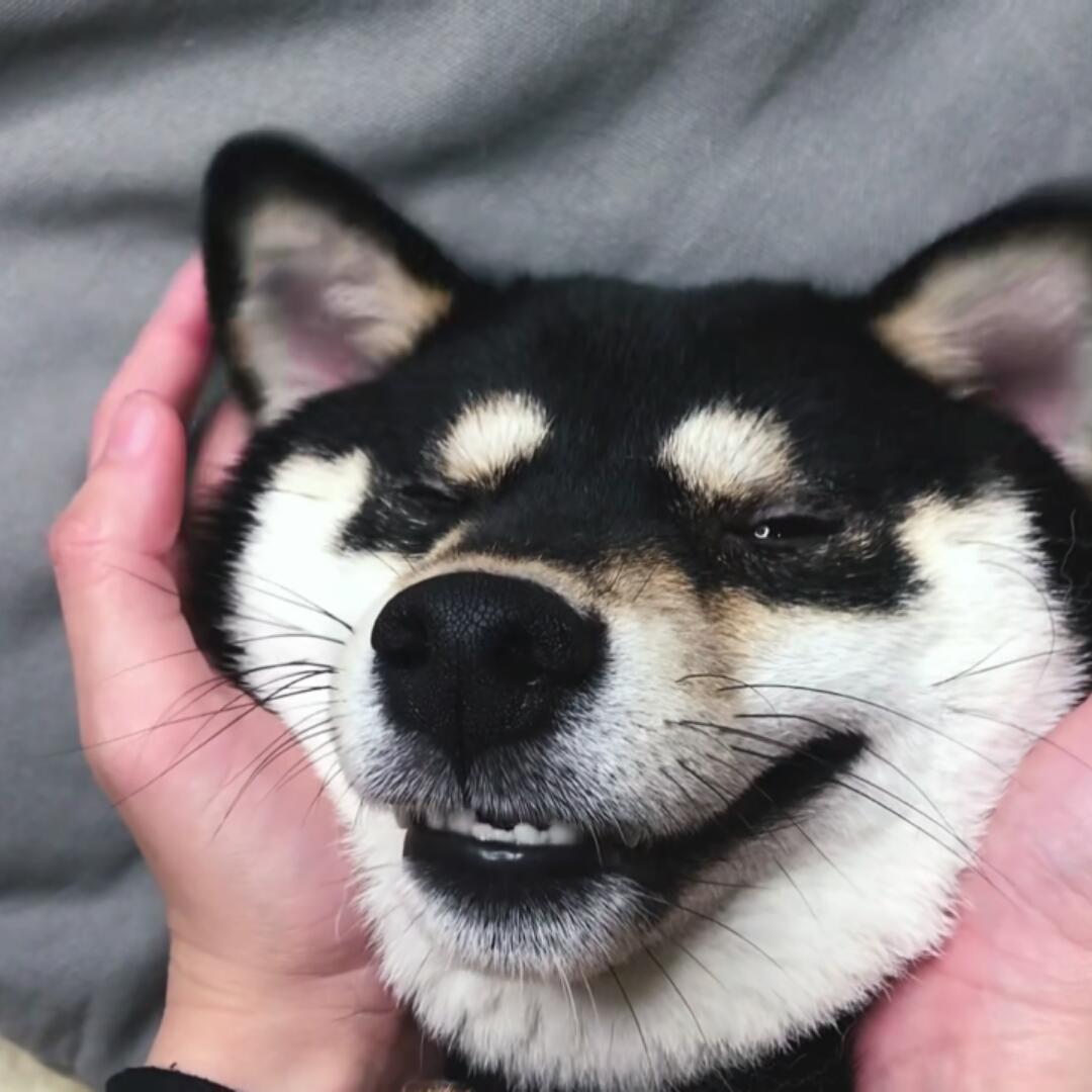 栗子味儿的白薯