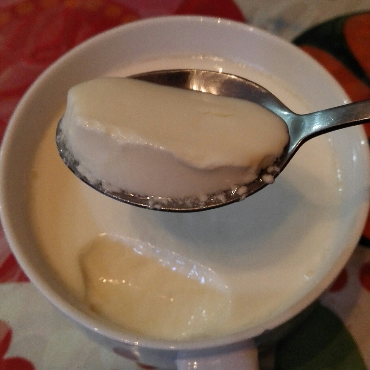 乐宝宝-3做的烤箱自制酸奶