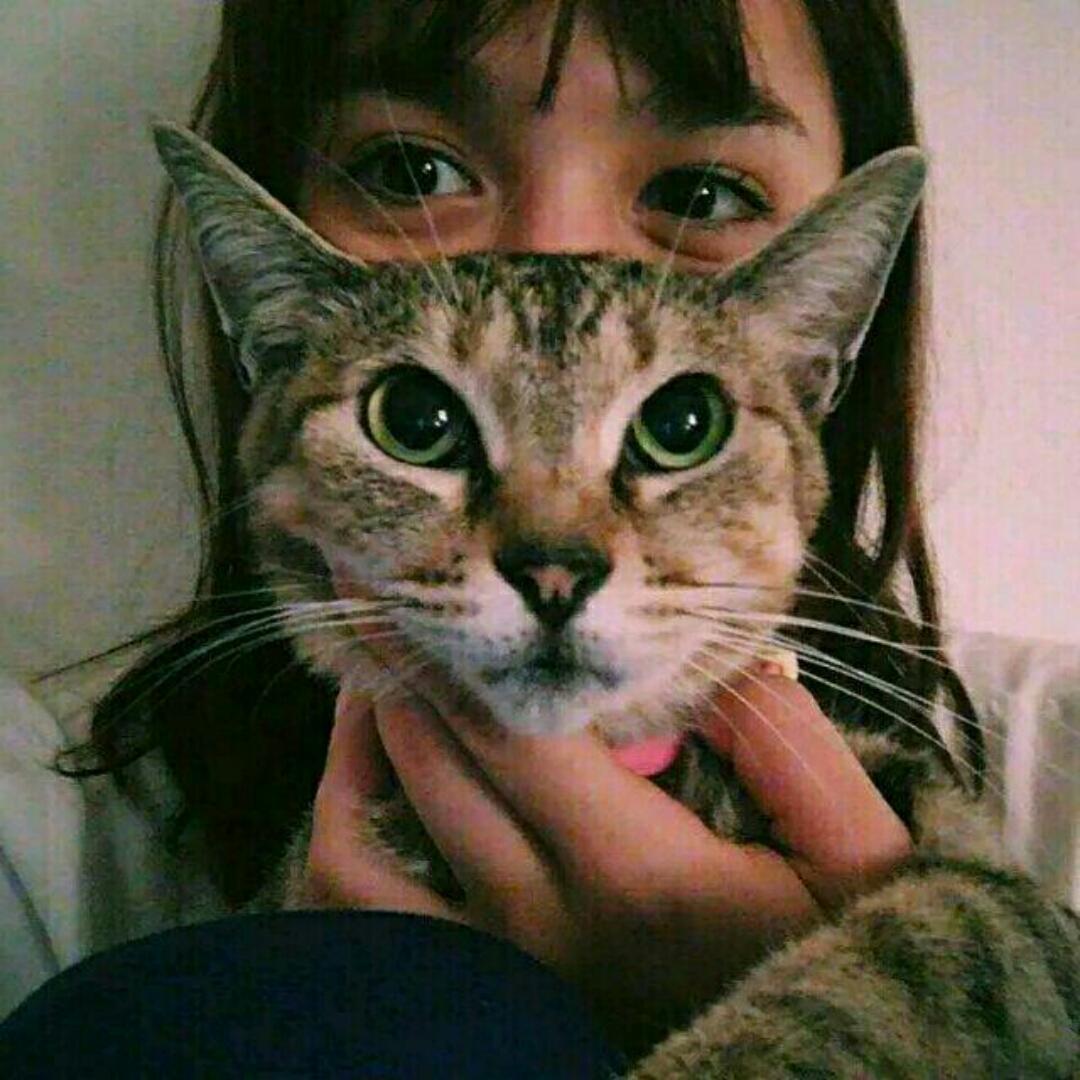 _廿一一一