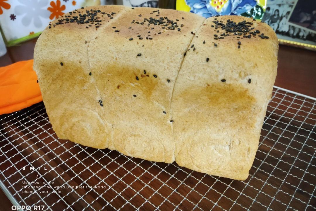 100%全麦鸡蛋吐司 直接法 王后细麸细粒 纯全麦依然软到下腰