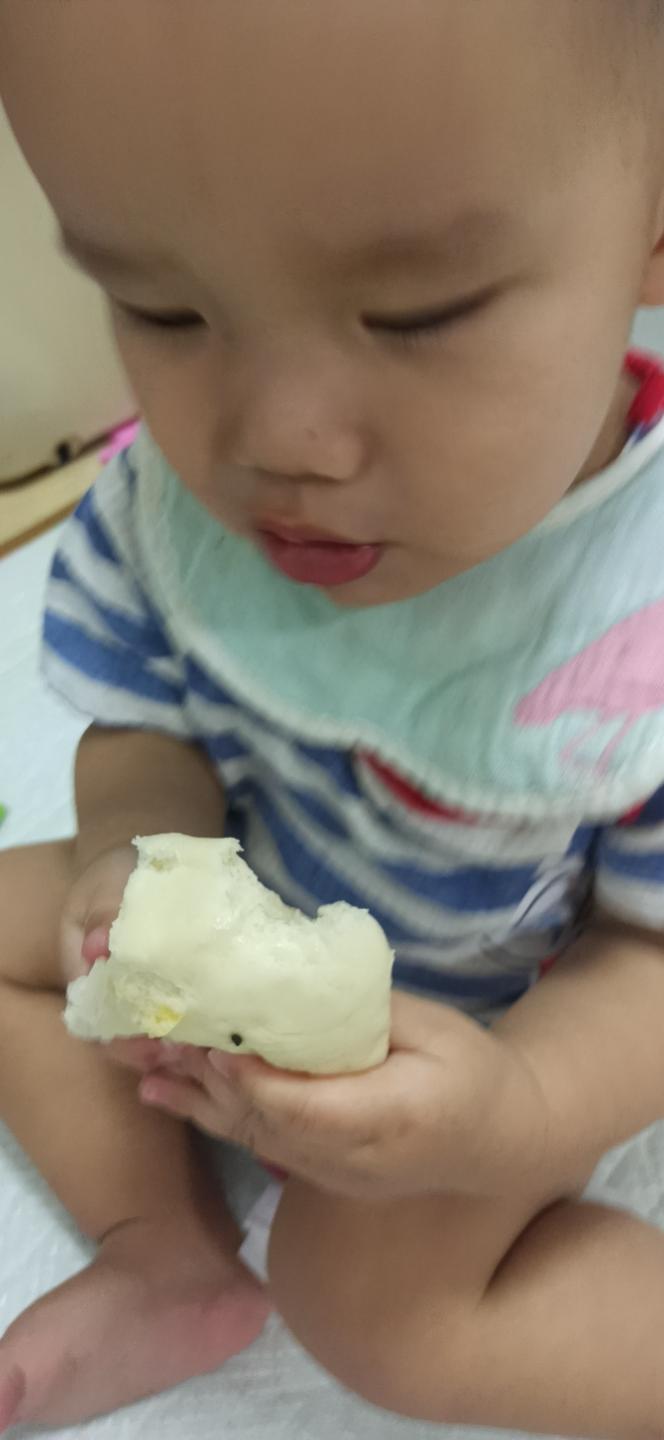 宝宝的猪猪包(无糖无油无盐)