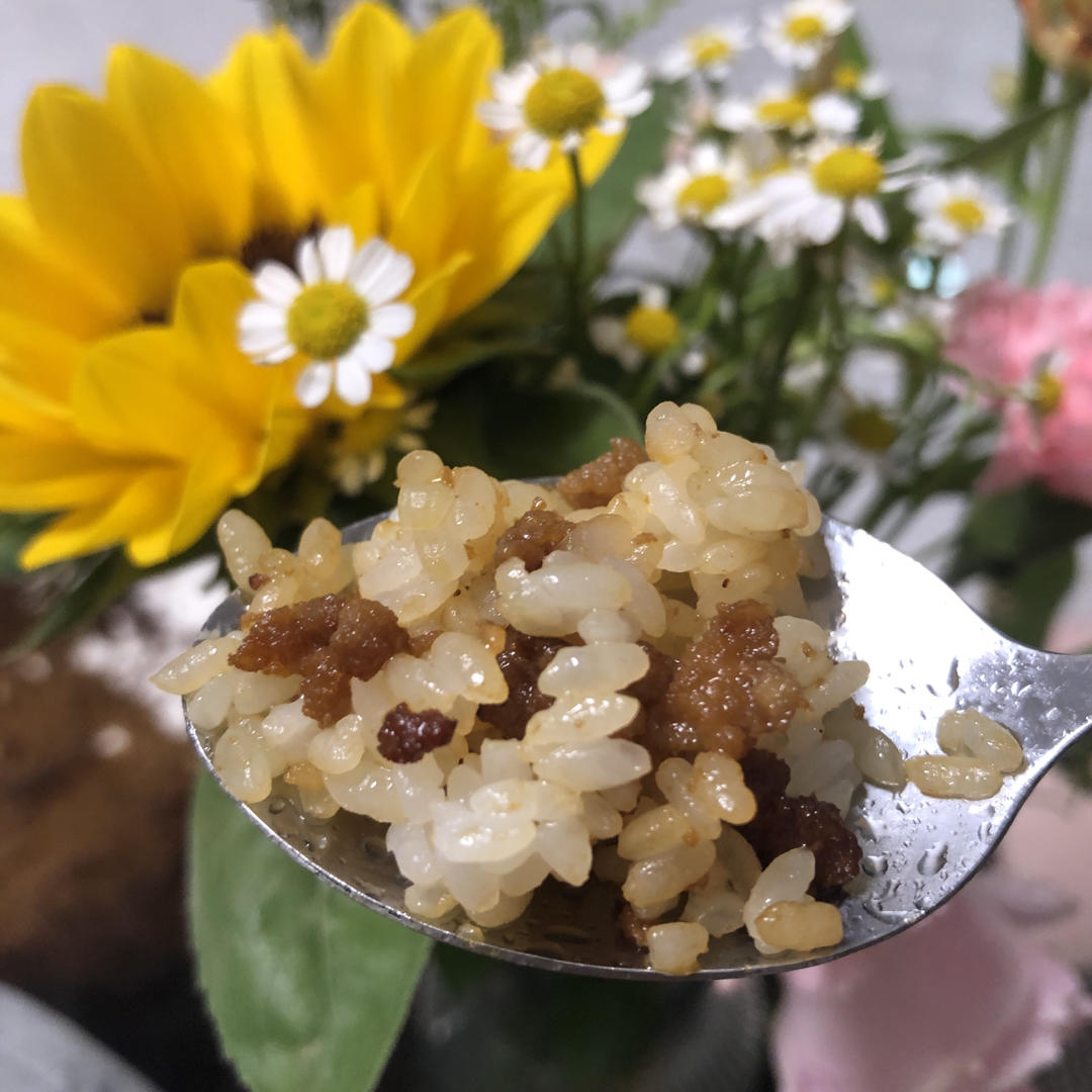 小电锅不放油香脆黑猪肉末炒饭